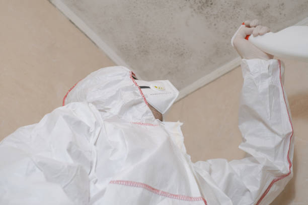 Mold Removal and Inspection in Woodsville, NH